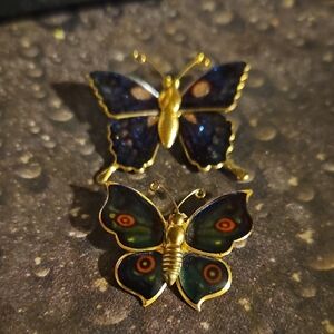 Two Butterfly Pins